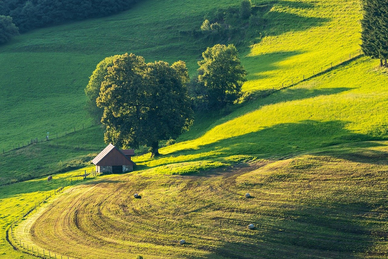 Exploring Effects of Light in Landscape Painting